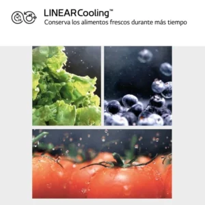Congelatore verticale LG GFM61MCCSF 324 litri No Frost nero